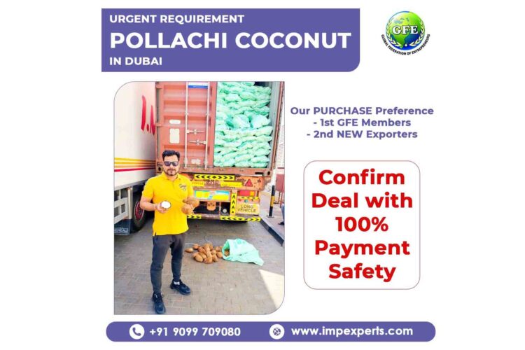 GFE’s new launch of Export Business Outsourcing Model promises to save lakhs of expense on export department